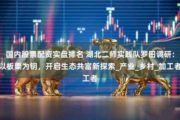 国内股票配资实盘排名 湖北二师实践队罗田调研：以板栗为钥，开启生态共富新探索_产业_乡村_加工者